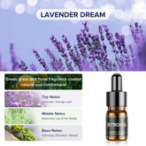 Ceeniu Essential Oils Set - F21 Essential Oils Refill for Car Diffuser, 12ml (3 Pack)